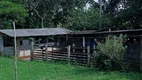 Foto 9 de Fazenda/Sítio à venda, 139392m² em Zona Rural, Itaporanga d'Ajuda
