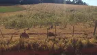 Foto 10 de Fazenda/Sítio com 2 Quartos à venda, 181500m² em Zona Rural, Itatiba