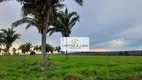 Foto 19 de Fazenda/Sítio com 10 Quartos à venda, 800m² em Setor Central, Araguaína