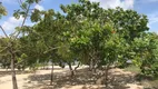 Foto 2 de Fazenda/Sítio com 3 Quartos à venda, 2500m² em Lagoa do Bonfim, Nísia Floresta