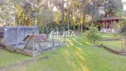 Foto 49 de Fazenda/Sítio com 2 Quartos à venda, 80m² em Rancho Alegre, Campina Grande do Sul