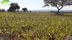 Foto 19 de Fazenda/Sítio com 1 Quarto à venda, 350000m² em Zona Rural, Santa Cruz de Goiás