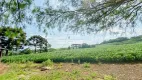 Foto 2 de Fazenda/Sítio com 3 Quartos à venda, 121000m² em Zona Rural, Pato Branco