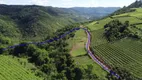 Foto 7 de Fazenda/Sítio à venda, 20000m² em Zona Rural, Santa Tereza