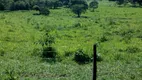 Foto 5 de Fazenda/Sítio à venda em Zona Rural, Flores de Goiás