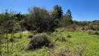 Foto 13 de Lote/Terreno à venda, 10550m² em , Paiçandu