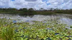 Foto 17 de Fazenda/Sítio com 3 Quartos à venda, 27000m² em Monte Alegre, Monte Alegre