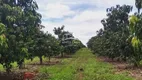 Foto 8 de Fazenda/Sítio à venda em Centro, Jaíba