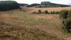 Foto 23 de Fazenda/Sítio à venda, 21500m² em Avenquinha, Campo Alegre