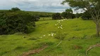 Foto 14 de Fazenda/Sítio com 1 Quarto à venda, 484000m² em Zona Rural, Santo Antônio da Alegria