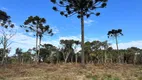 Foto 20 de Fazenda/Sítio à venda, 20000m² em Zona Rural, Urubici