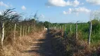 Foto 2 de Fazenda/Sítio à venda, 260000m² em , Monte Alegre