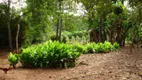 Foto 16 de Fazenda/Sítio à venda em Centro, Santo Antônio do Descoberto