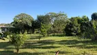 Foto 6 de Fazenda/Sítio com 3 Quartos à venda, 4000m² em Centro, Cambé
