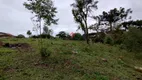 Foto 8 de Fazenda/Sítio com 5 Quartos à venda, 250m² em Colônia Murici, São José dos Pinhais