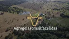 Foto 4 de Fazenda/Sítio à venda em Setor Central, Nerópolis