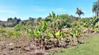 Foto 15 de Fazenda/Sítio com 2 Quartos à venda, 193m² em Campo do Meio, Aracoiaba da Serra