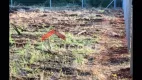 Foto 10 de Fazenda/Sítio com 1 Quarto à venda, 4000m² em Parque Nacional, Londrina