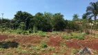 Foto 13 de Lote/Terreno à venda, 1700m² em Zona Rural, Sertanópolis