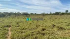 Foto 14 de Fazenda/Sítio com 1 Quarto à venda, 123m² em Zona Rural, Felixlândia