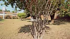 Foto 13 de Fazenda/Sítio com 3 Quartos à venda, 2400m² em Residencial Vista Alegre I Zona Rural, São José do Rio Preto