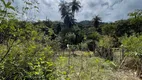 Foto 3 de Fazenda/Sítio com 2 Quartos para venda ou aluguel, 1800m² em Rocas Novas, Caeté