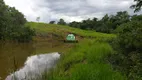 Foto 29 de Fazenda/Sítio à venda, 10000m² em Centro, Hidrolândia