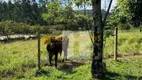 Foto 3 de Fazenda/Sítio com 2 Quartos à venda, 70m² em Jardim Atibaia, Campinas