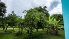 Foto 19 de Fazenda/Sítio com 4 Quartos à venda, 20000m² em Planaltina, Brasília