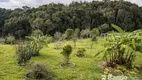 Foto 46 de Fazenda/Sítio com 3 Quartos à venda, 36300m² em Roça Velha, São José dos Pinhais