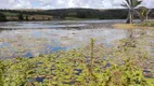 Foto 6 de Fazenda/Sítio à venda, 26000m² em Zona Rural, Mamanguape