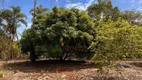Foto 23 de Fazenda/Sítio com 2 Quartos à venda, 150m² em Sitio Recreio Encontro das Aguas, Hidrolândia