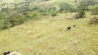 Foto 10 de Fazenda/Sítio à venda, 80000m² em Bairro Rural, Chã Grande