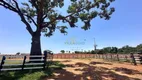 Foto 46 de Fazenda/Sítio à venda, 2000m² em Rural, Nova Granada