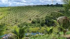 Foto 6 de Fazenda/Sítio com 4 Quartos à venda, 900000m² em Centro, Valença