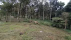 Foto 34 de Fazenda/Sítio à venda, 2400m² em Campina, Tijucas do Sul