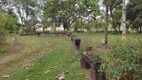 Foto 18 de Fazenda/Sítio com 3 Quartos à venda, 22m² em Zona Rural, Abadia de Goiás
