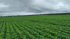 Foto 14 de Fazenda/Sítio com 8 Quartos à venda, 400m² em Zona Rural, Niquelândia