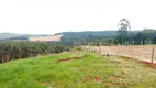 Foto 2 de Fazenda/Sítio com 3 Quartos à venda, 62000m² em Chapada, Ponta Grossa
