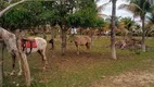 Foto 19 de Fazenda/Sítio com 5 Quartos à venda, 100000000m² em Barra do Furado, Quissamã