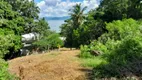 Foto 4 de Lote/Terreno à venda, 900m² em Sambaqui, Florianópolis