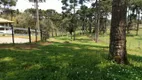 Foto 12 de Fazenda/Sítio com 3 Quartos à venda, 31000m² em Lageado, Campo Alegre