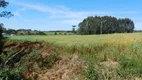 Foto 5 de Fazenda/Sítio à venda, 34315m² em Centro, Campo Alegre