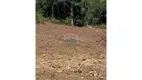 Foto 18 de Lote/Terreno à venda, 2001m² em Sao Valentim, Bento Gonçalves