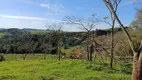 Foto 5 de Fazenda/Sítio à venda, 20000m² em Rio do Salto, Cascavel