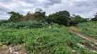 Foto 10 de Lote/Terreno à venda em Cachoeira, Almirante Tamandaré