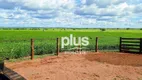 Foto 8 de Fazenda/Sítio com 2 Quartos à venda, 3920400m² em , Colinas do Tocantins