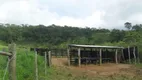 Foto 23 de Fazenda/Sítio com 4 Quartos à venda, 1960000m² em Zona Rural, Rio Espera