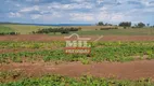 Foto 29 de Fazenda/Sítio à venda, 3000m² em Zona Rural, Chapadão do Céu