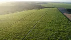 Foto 21 de Fazenda/Sítio com 4 Quartos à venda, 700000000m² em Zona Rural, Canguaretama